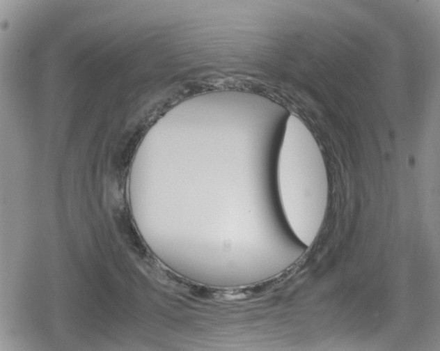 X0000080170607200612081054