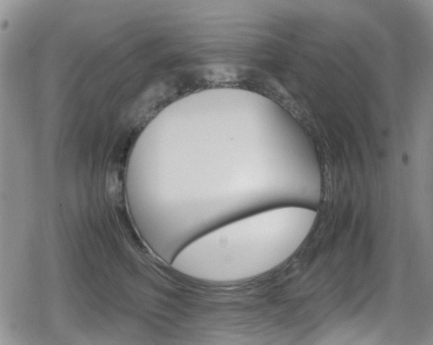 X0000080170614200612081054