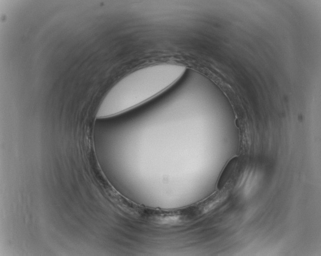 X0000080170651200612081053
