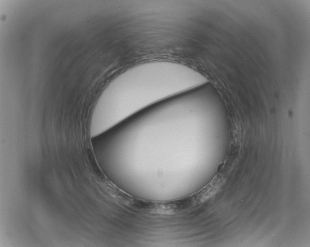 X0000080170656200612081053