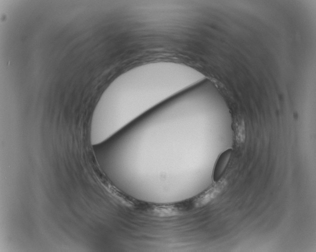 X0000080170666200612081053