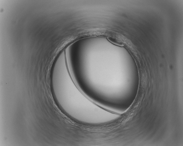 X0000080170673200612081053