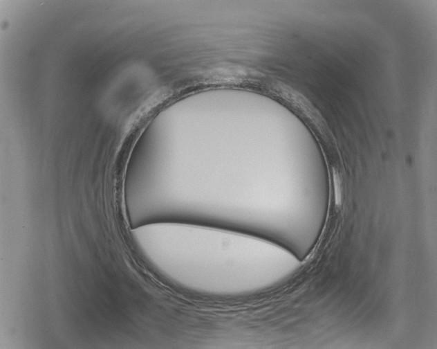 X0000080170675200612081053