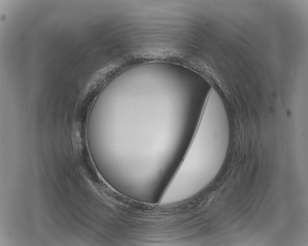 X0000080170688200612081052