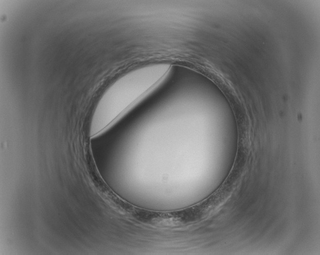 X0000080170689200612081052