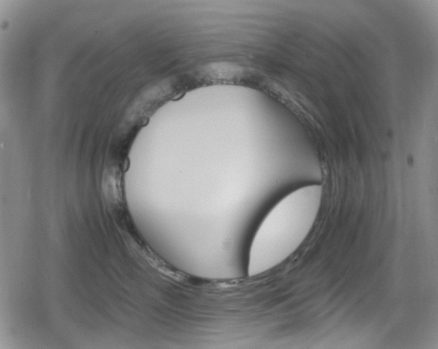 X0000080170718200612081052