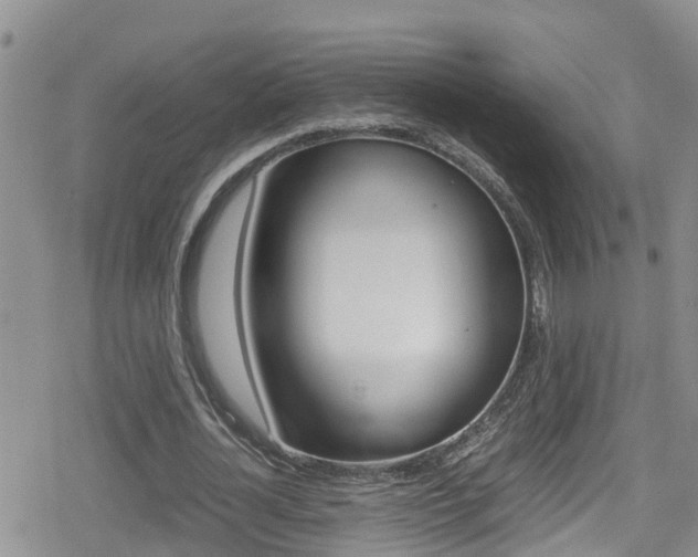 X0000080170724200612081051