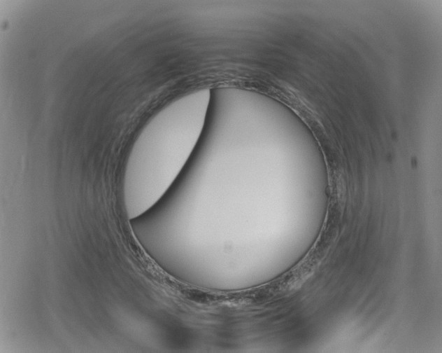 X0000080170737200612081051