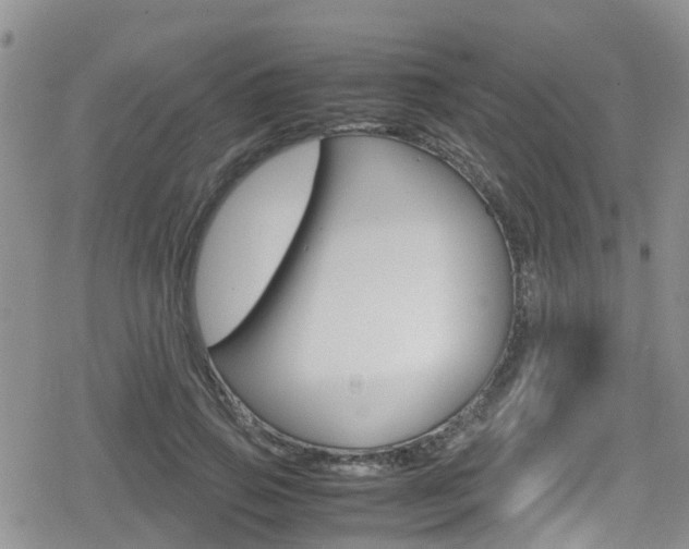 X0000080170741200612081051