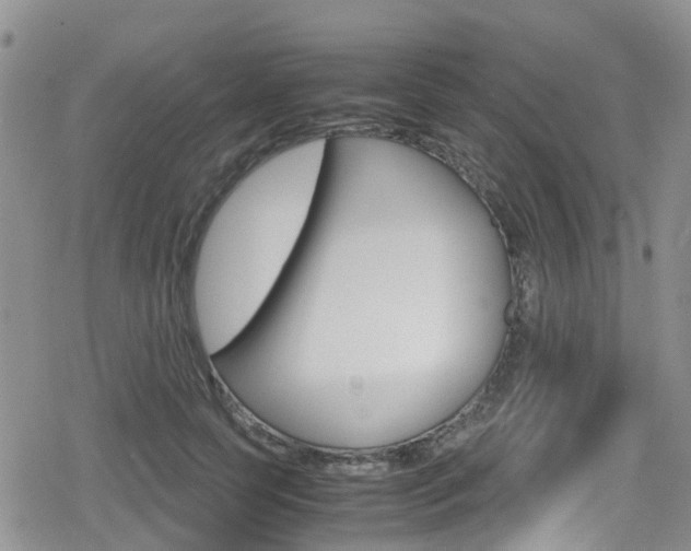 X0000080170745200612081052