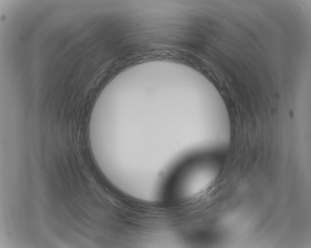 X0000080170750200612081052