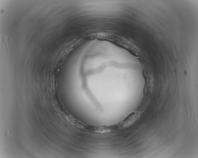 X0000080170760200612081052