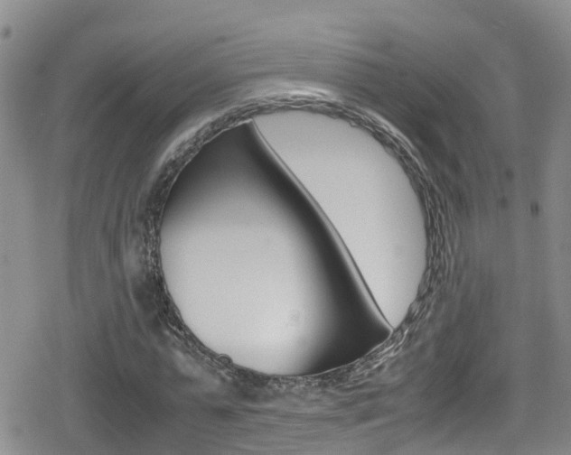 X0000080170775200612081051