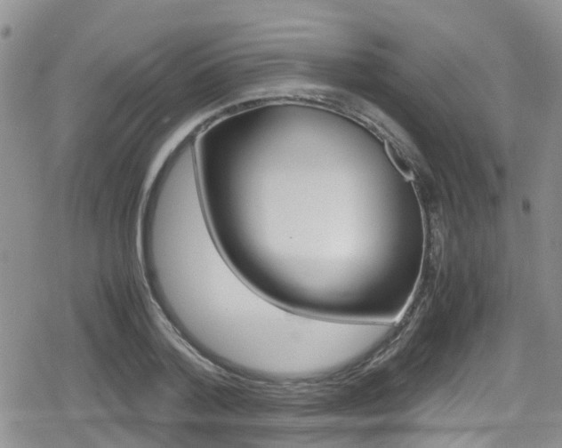 X0000080170788200612081051