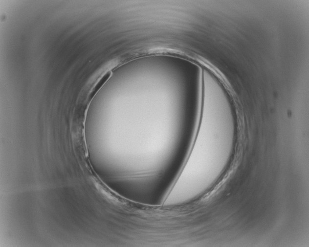 X0000080170801200612081051