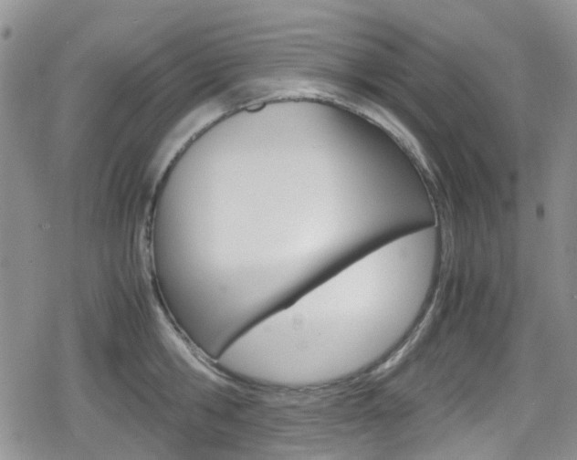 X0000080170806200612081050