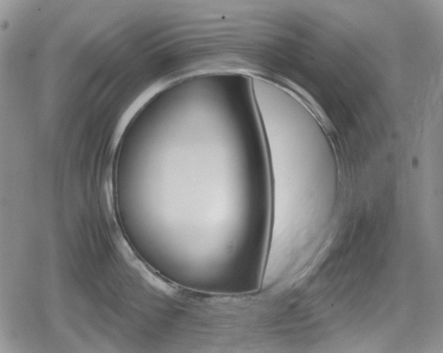 X0000080170812200612081050