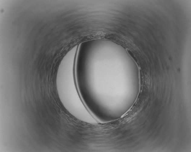 X0000080170818200612081050
