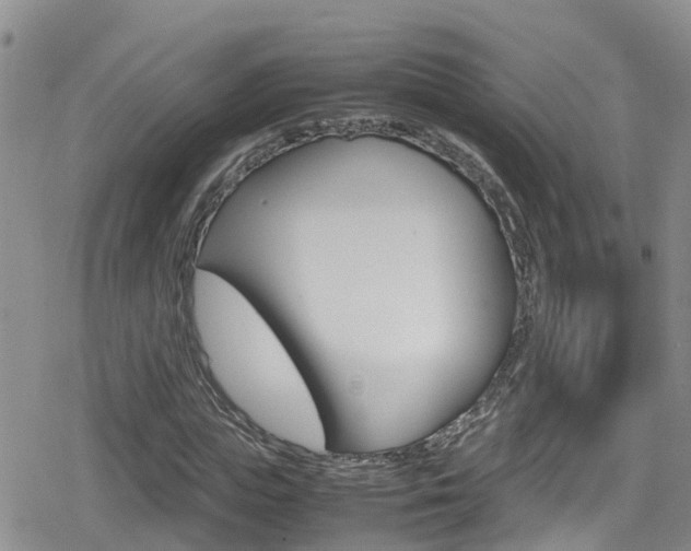 X0000080170823200612081050