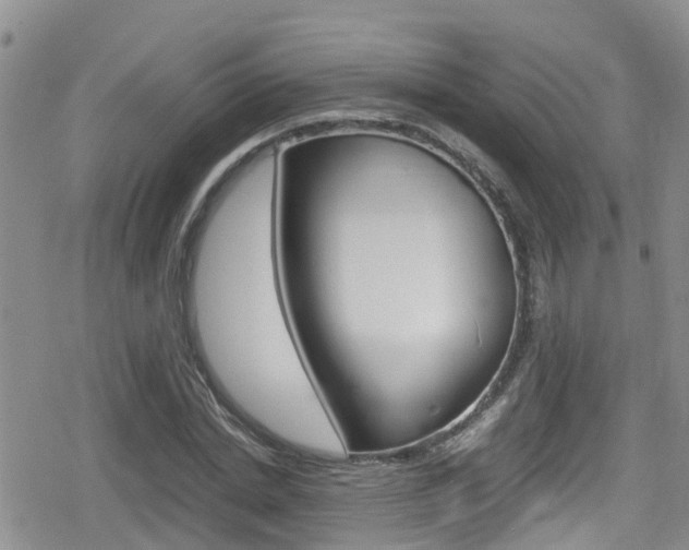 X0000080170830200612081050
