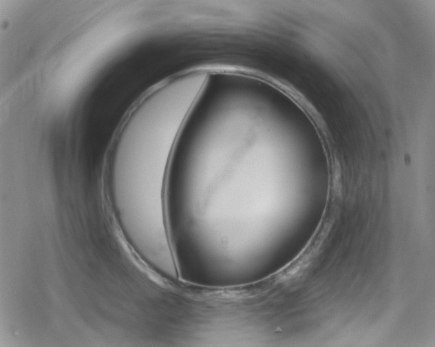X0000080170862200612081050