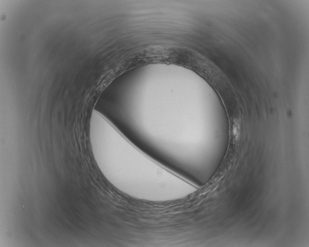 X0000080170867200612081050