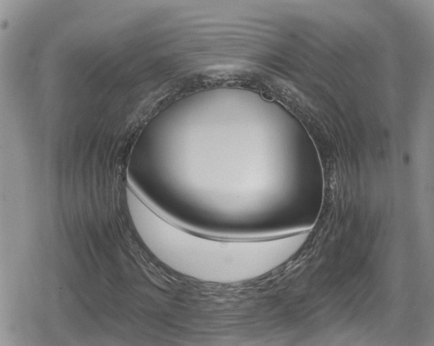 X0000080170868200612081049