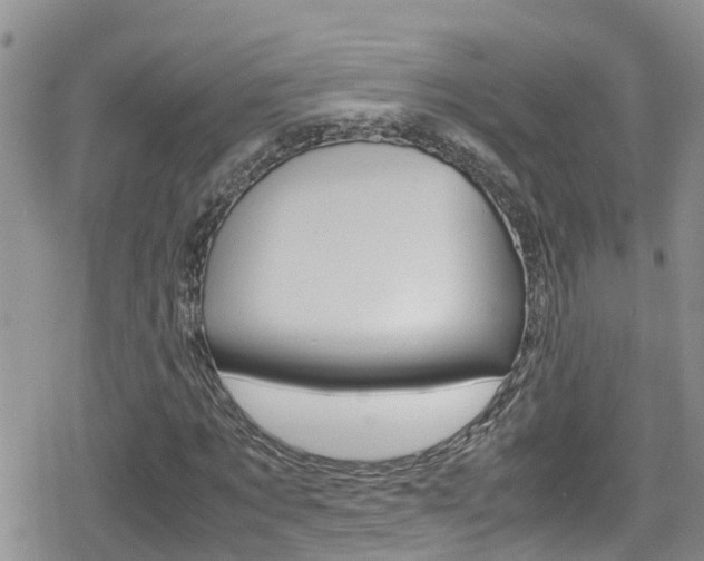 X0000080170869200612081049