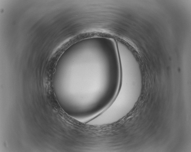 X0000080170872200612081049