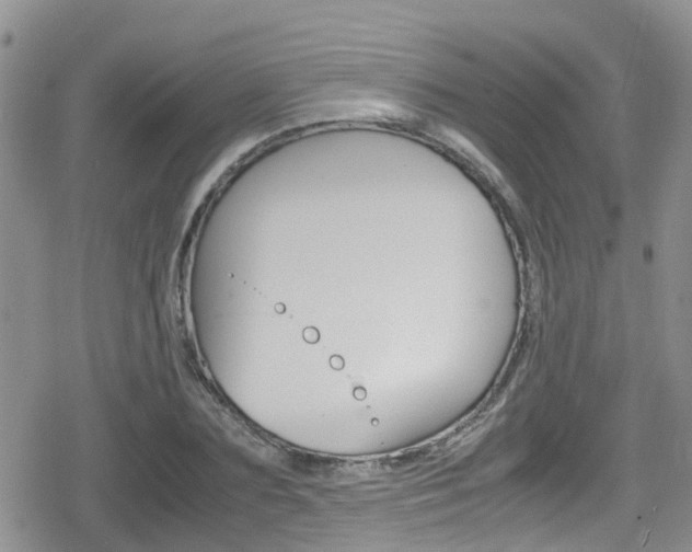X0000080170883200612081049