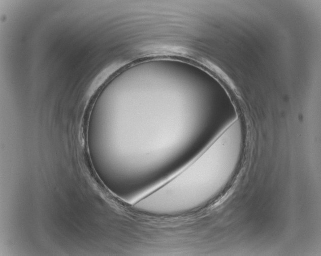 X0000080170885200612081049