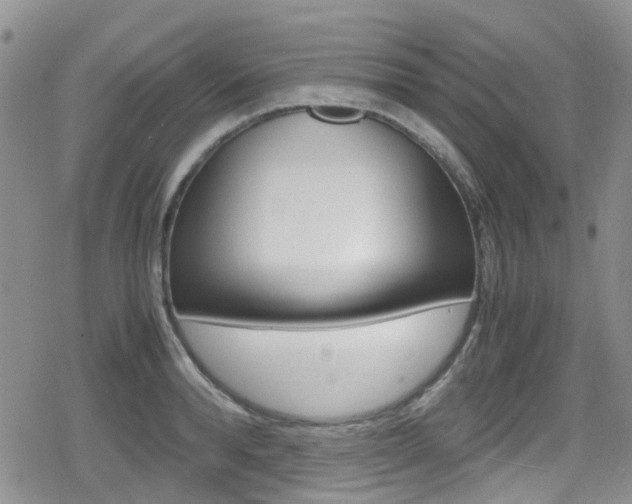 X0000080170896200612081049