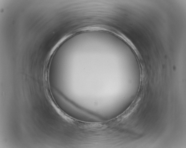 X0000080170909200612081049