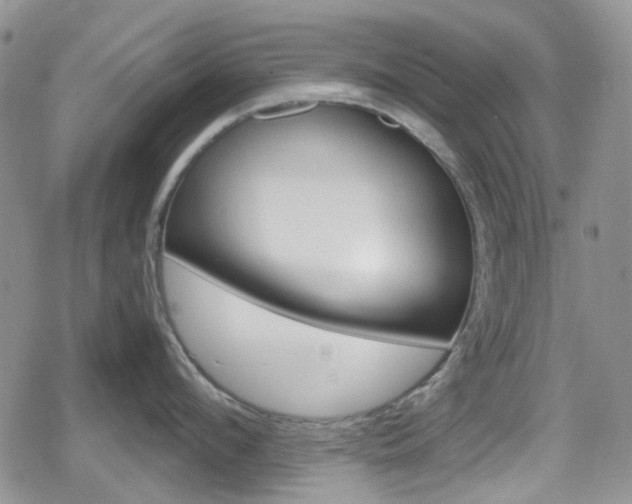 X0000080170912200612081049