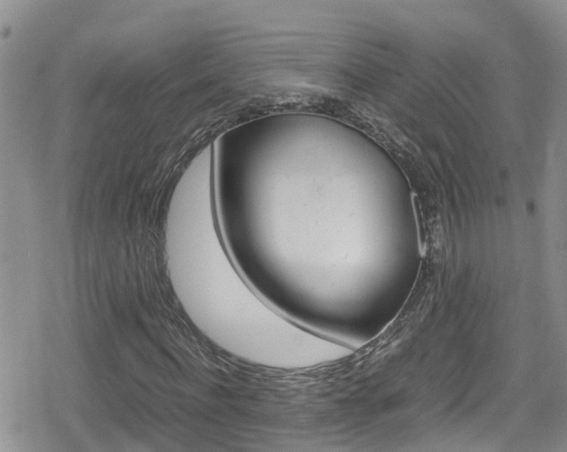 X0000080170916200612081048