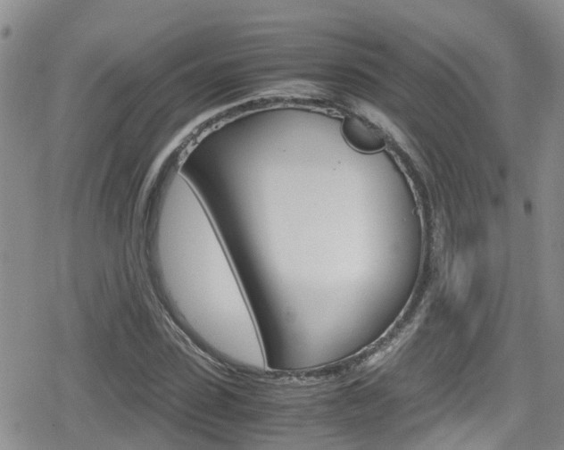 X0000080170923200612081048