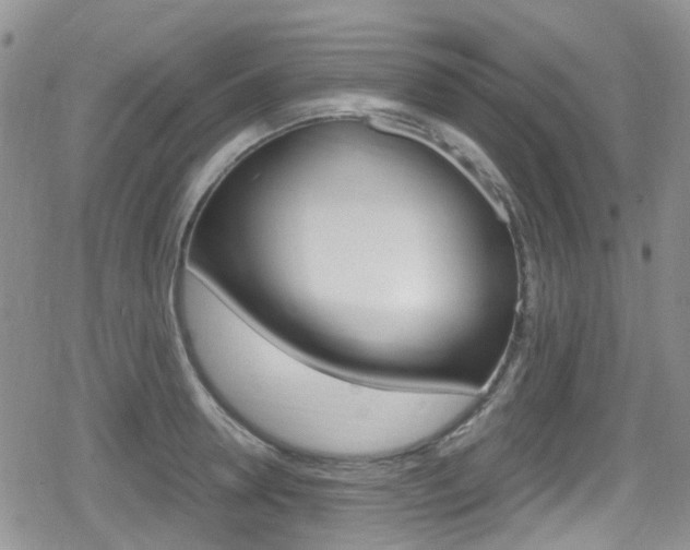 X0000080170946200612081049