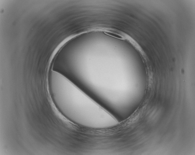 X0000080170955200612081049