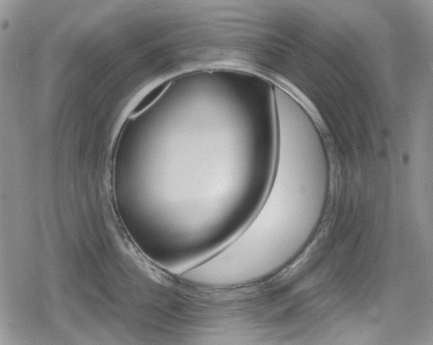 X0000080170956200612081049