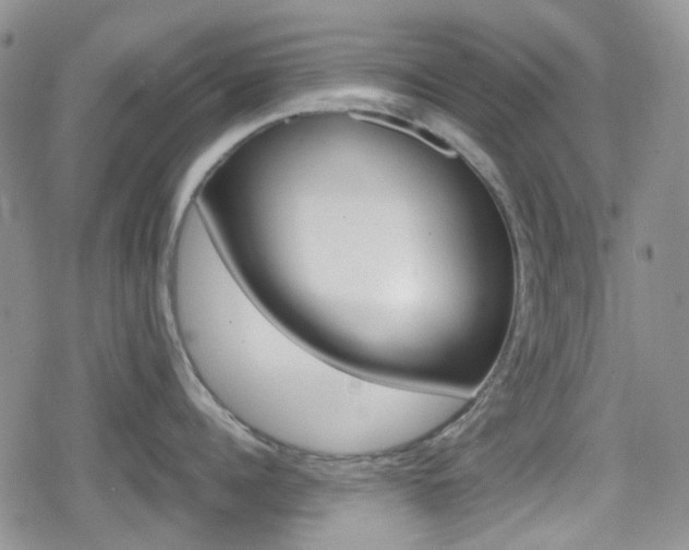 X0000080170960200612081049