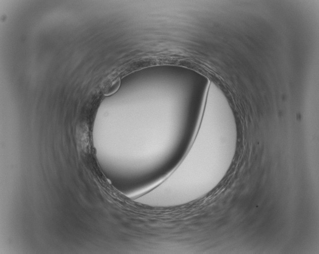 X0000080170963200612081048