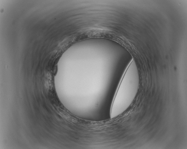 X0000080170964200612081048