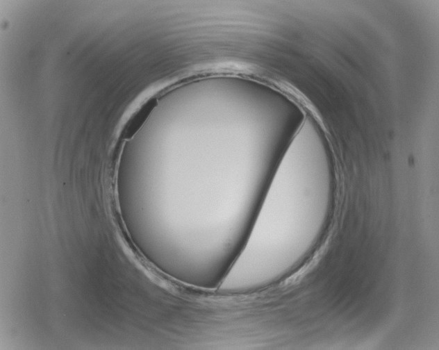 X0000080170989200612081048