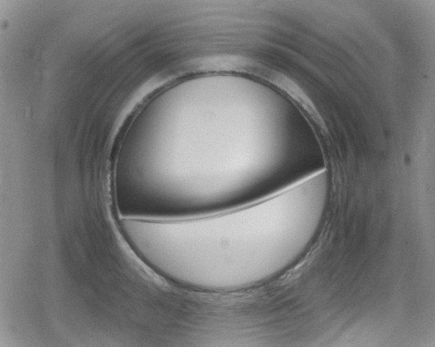 X0000080170992200612081047