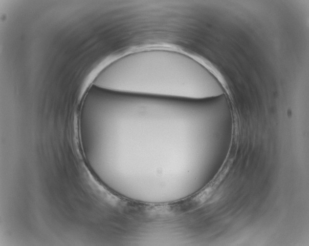 X0000080171006200612081047