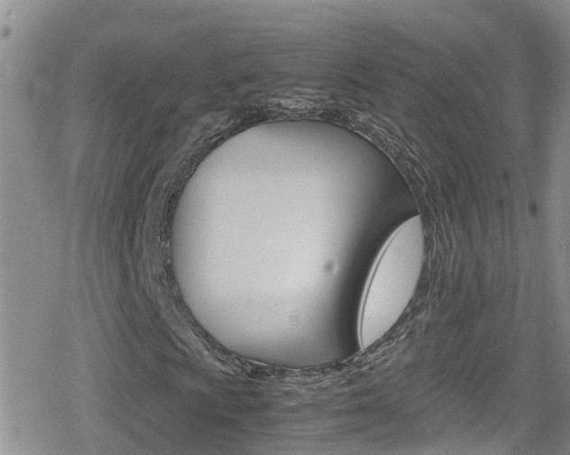 X0000080171009200612081046