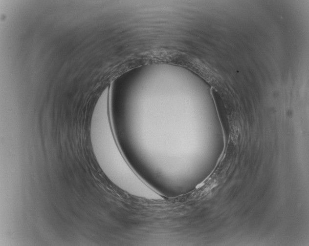 X0000080171010200612081046