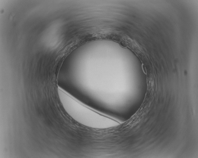 X0000080171012200612081047
