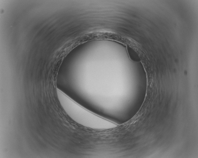 X0000080171014200612081047