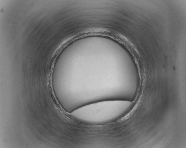 X0000080171017200612081047